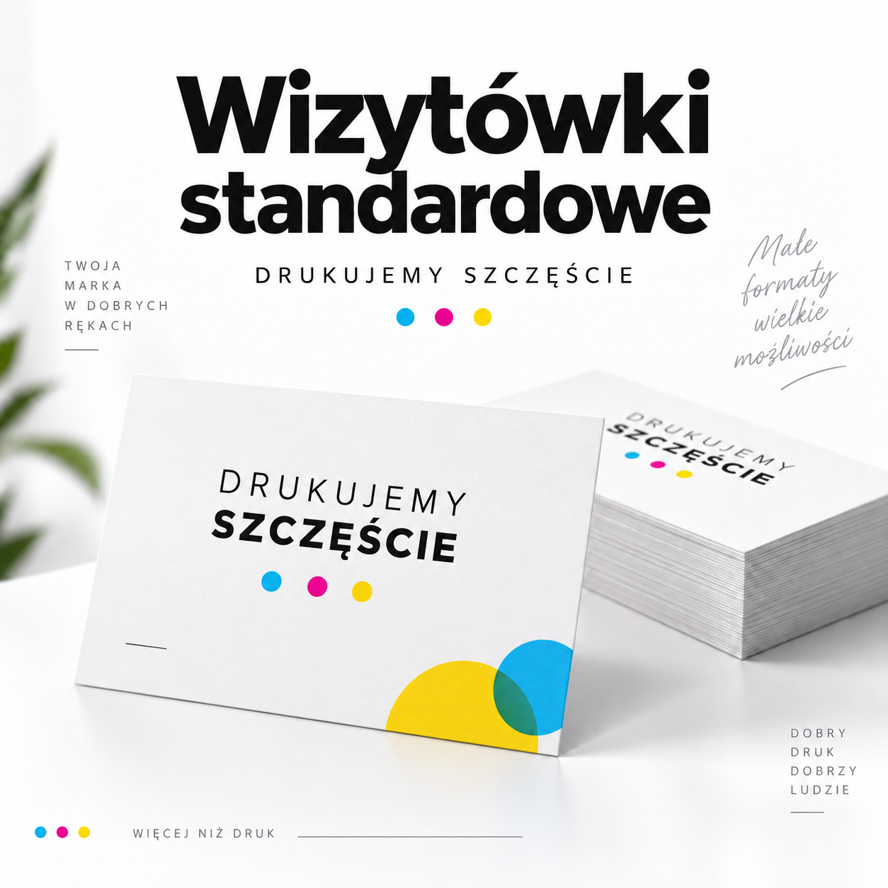 Wizytówki standardowe — przykładowy produkt BIUROGRAF